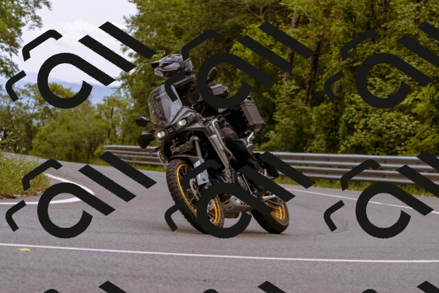 202509141236-_DSC1031_d1_