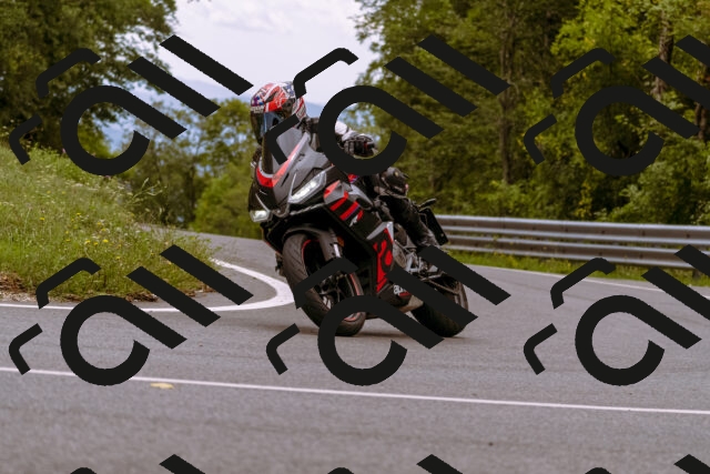 202509141238-_DSC1037_d1_