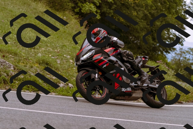 202509141238-_DSC1038_d1_