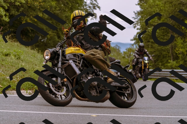 202509141240-_DSC1042_d1_