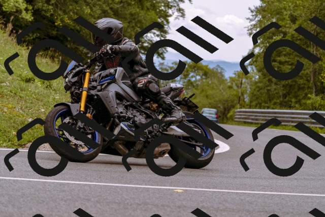 202509141240-_DSC1044_d1_