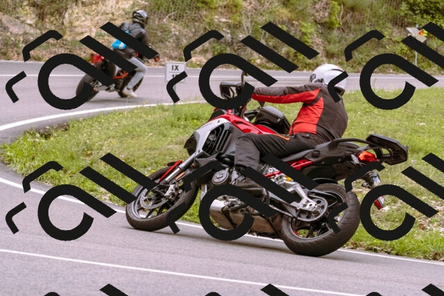 202509141240-_DSC1052_d1_