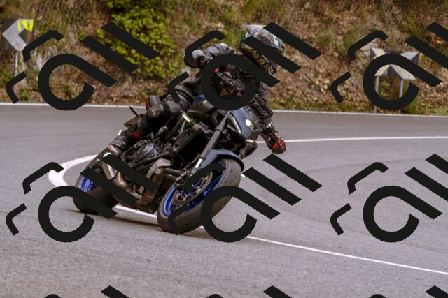 202509141240-_DSC1061_d1_