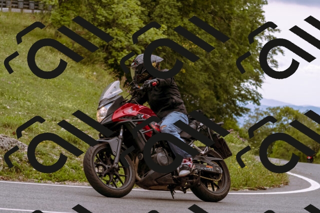 202509141240-_DSC1063_d1_