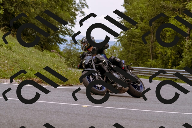 202509141241-_DSC1066_d1_