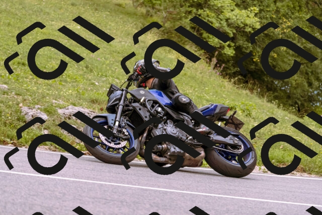 202509141241-_DSC1067_d1_