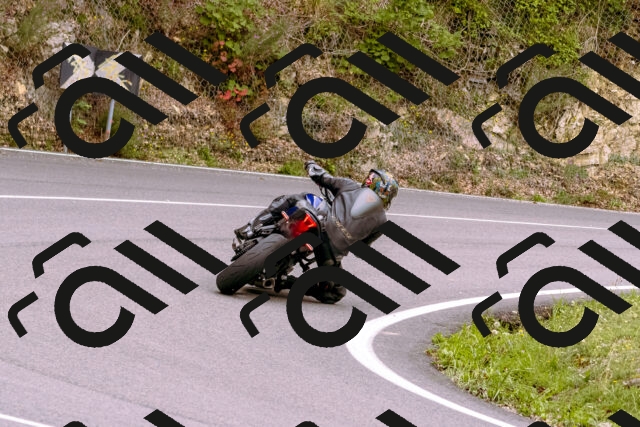 202509141241-_DSC1072_d1_