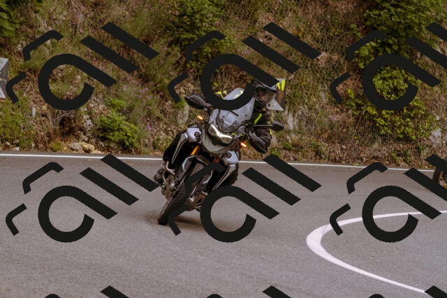 202509141241-_DSC1073_d1_