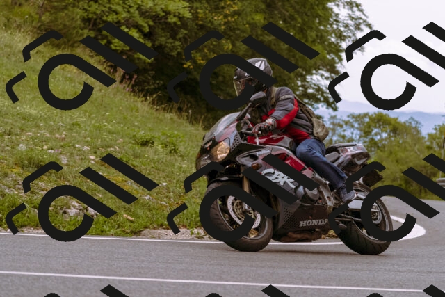 202509141245-_DSC1087_d1_