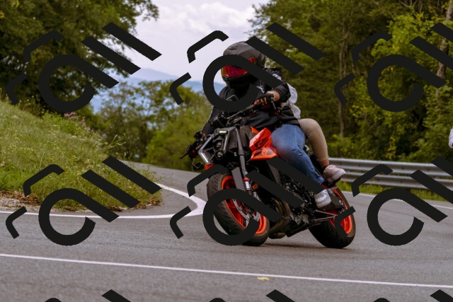 202509141246-_DSC1100_d1_