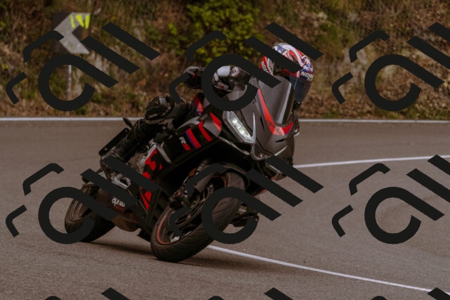 202509141247-_DSC1110_d1_