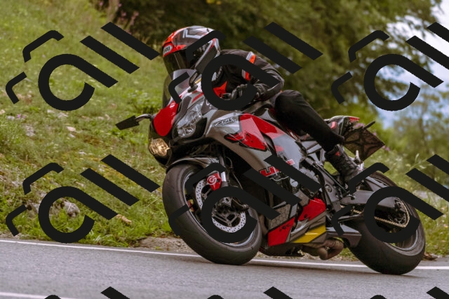 202509141251-_DSC1131_d1_