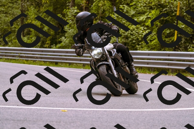 202509141253-_DSC1139_d1_