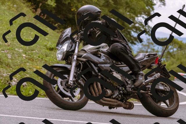 202509141253-_DSC1141_d1_