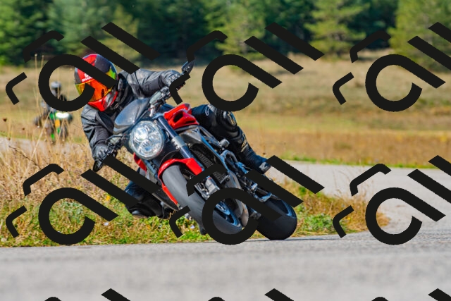 20250914110959_-R023459_r2