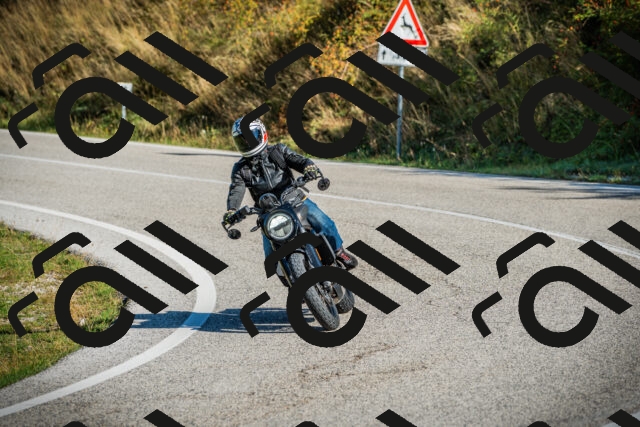 202509131015-DSC01472_c1_