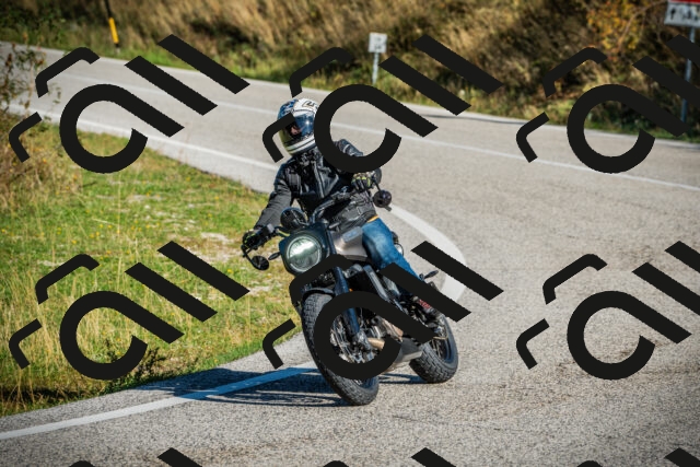 202509131015-DSC01473_c1_