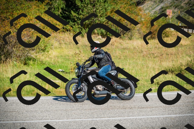 202509131015-DSC01474_c1_