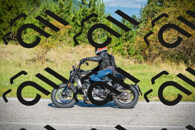 202509131015-DSC01475_c1_