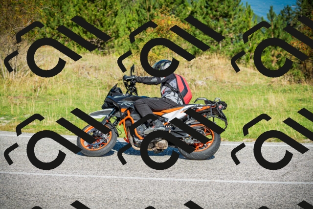 202509131016-DSC01482_c1_