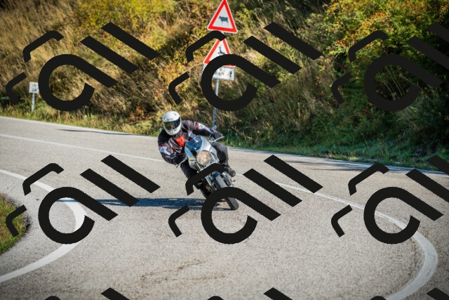 202509131016-DSC01487_c1_