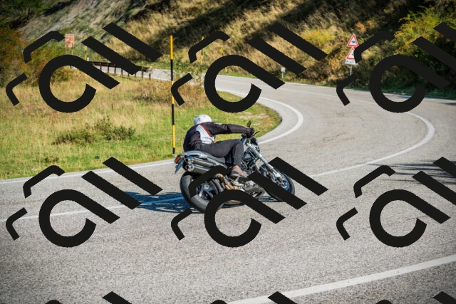 202509131017-DSC01509_c1_