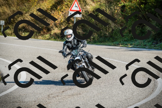 202509131018-DSC01512_c1_