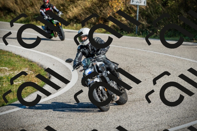 202509131018-DSC01513_c1_