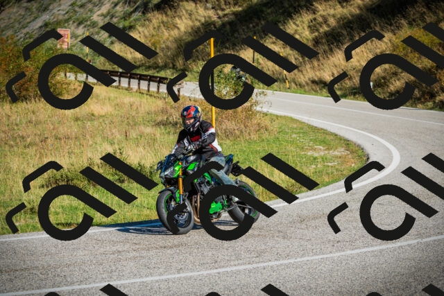 202509131018-DSC01517_c1_