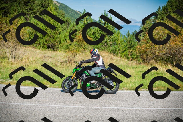 202509131018-DSC01519_c1_