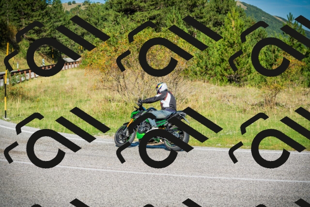 202509131018-DSC01520_c1_