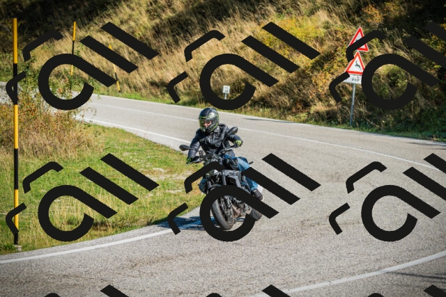 202509131018-DSC01521_c1_