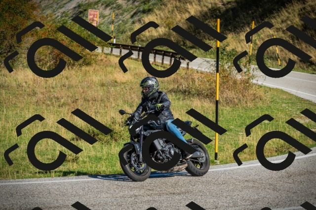 202509131018-DSC01522_c1_