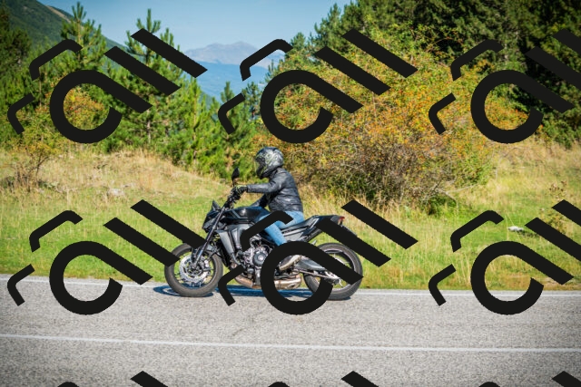 202509131018-DSC01523_c1_