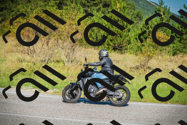 202509131018-DSC01524_c1_