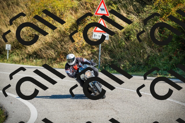 202509131019-DSC01526_c1_