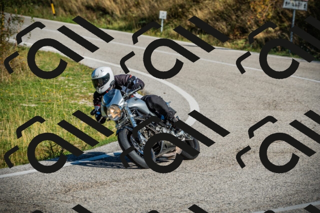 202509131019-DSC01528_c1_