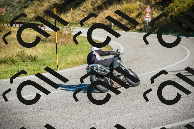 202509131020-DSC01537_c1_