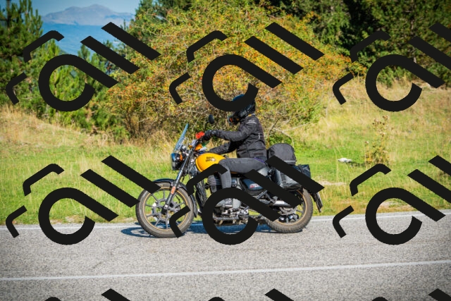 202509131021-DSC01542_c1_