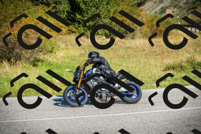 202509131021-DSC01546_c1_