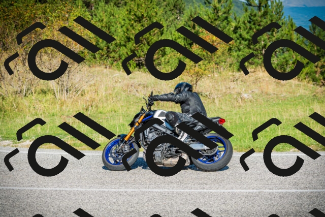 202509131021-DSC01547_c1_