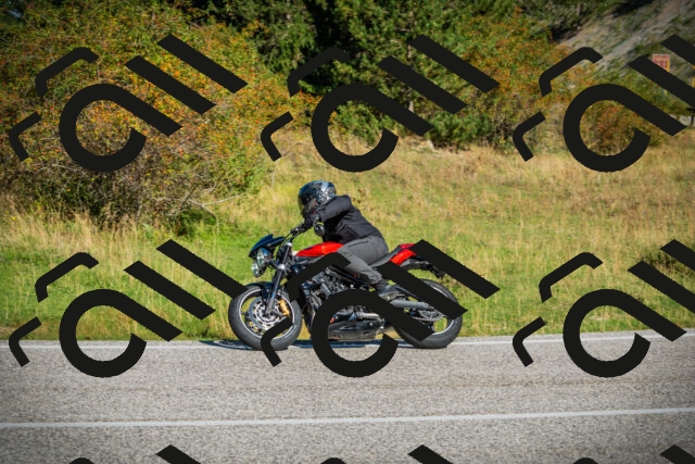 202509131021-DSC01555_c1_