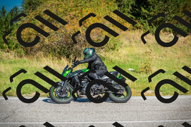 202509131021-DSC01557_c1_