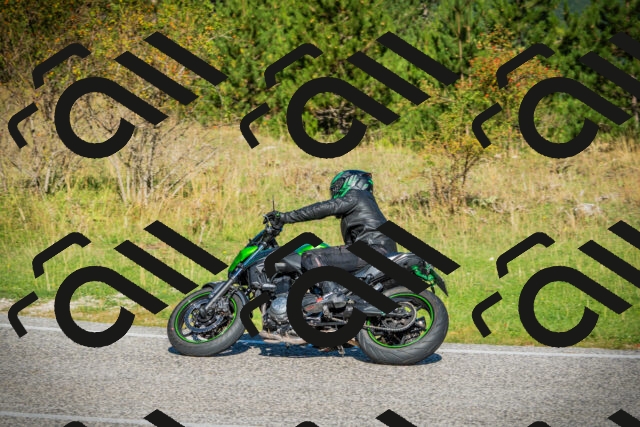 202509131021-DSC01558_c1_