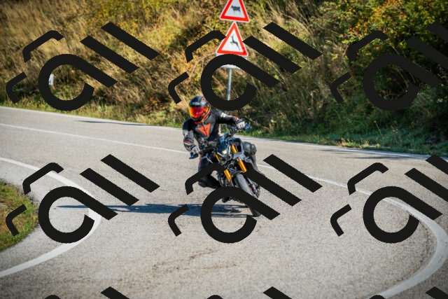 202509131021-DSC01560_c1_