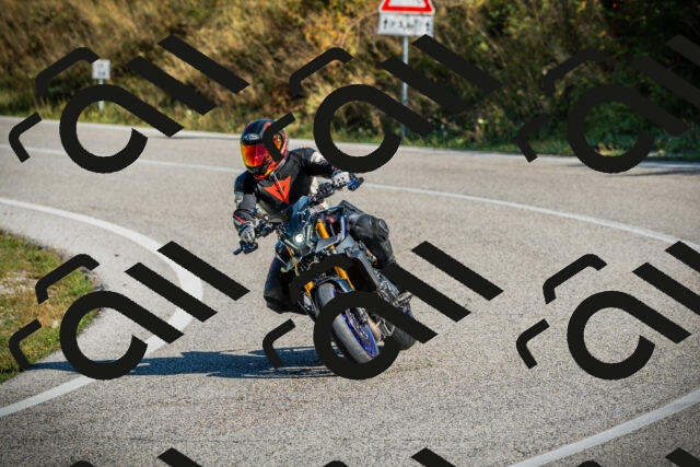 202509131021-DSC01561_c1_