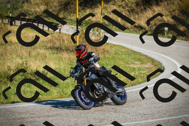 202509131021-DSC01562_c1_