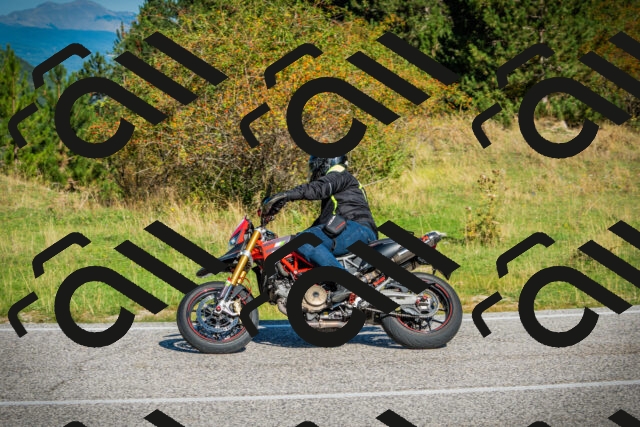 202509131025-DSC01581_c1_