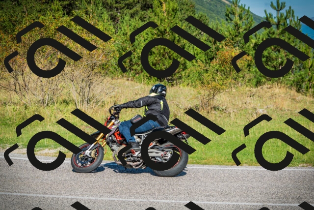 202509131025-DSC01582_c1_