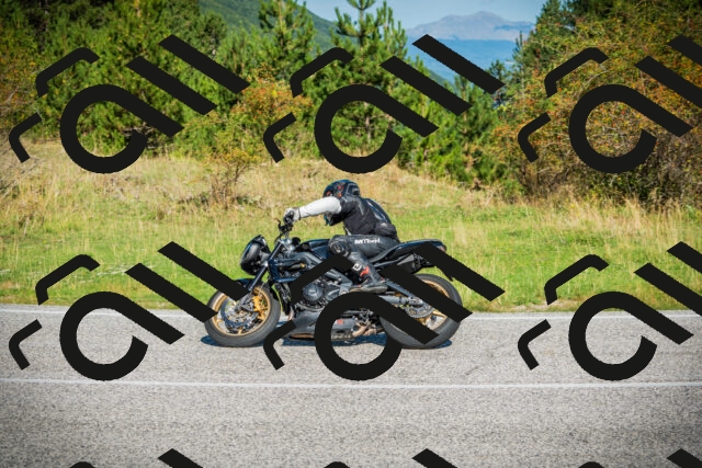 202509131025-DSC01584_c1_